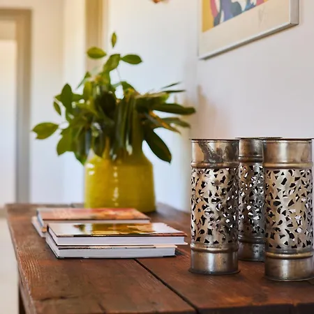 Quinta Da Castanha, Pintahouse, Douro Valley Vakantiehuis *