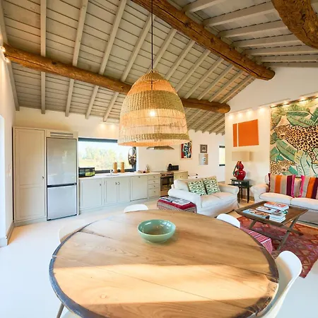 Quinta Da Castanha, Pintahouse, Douro Valley Casa de Férias Armamar