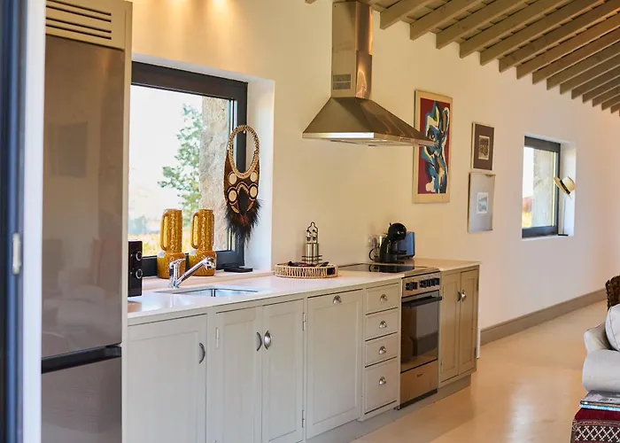 Semesterbostad Quinta Da Castanha, Pintahouse, Douro Valley