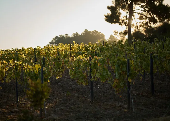 Quinta Da Castanha, Pintahouse, Douro Valley Semesterbostad *